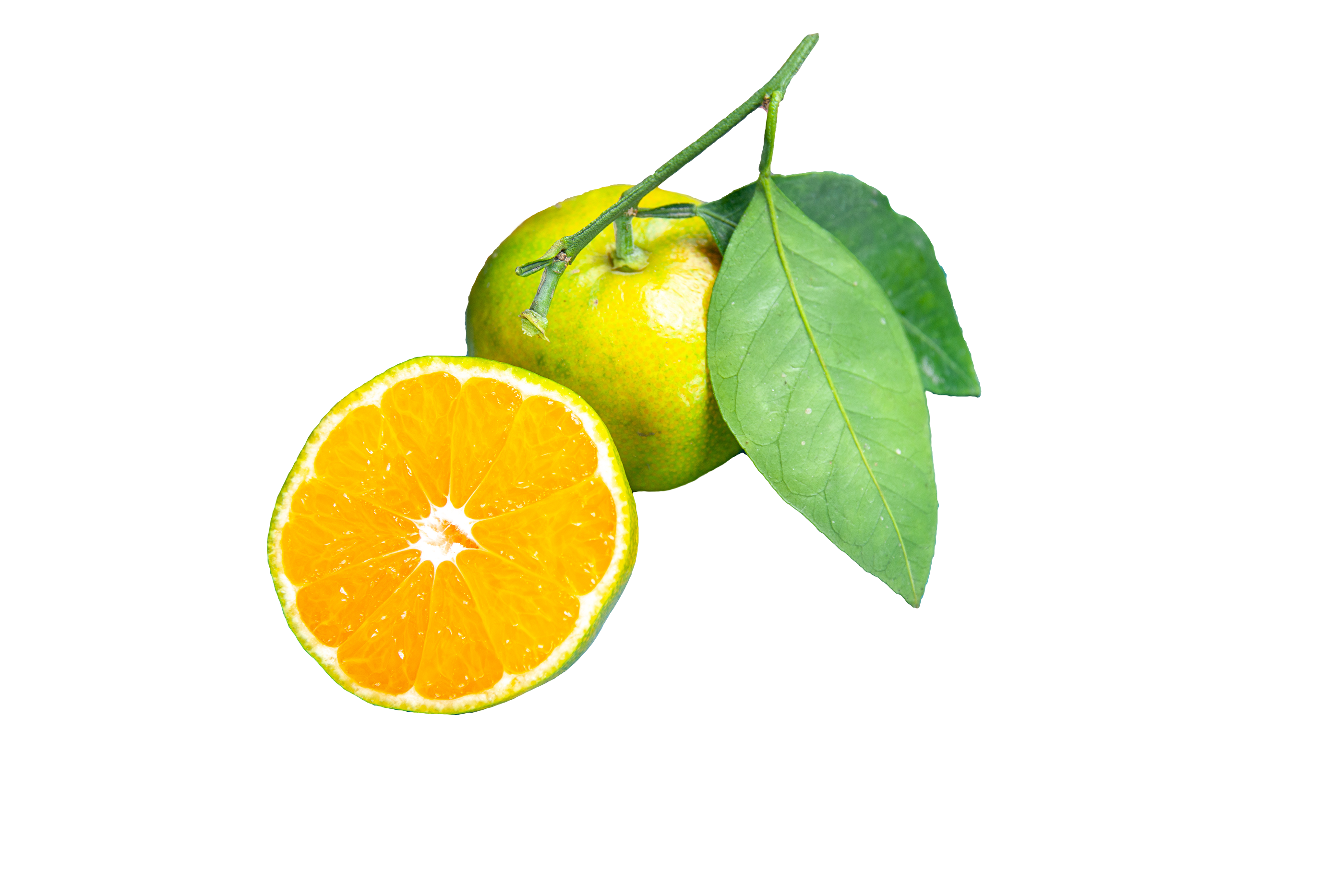 Zöld mandarin